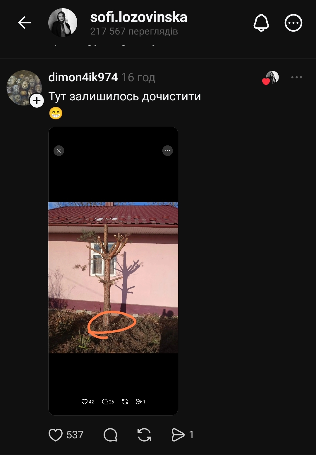 Історії та анекдоти : Тато почистив сосну і нічого не сказав мамі